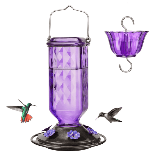 Glass Hummingbird Feeder