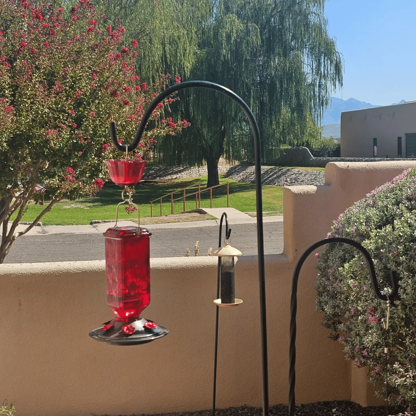 ⏰ 𝗙𝗶𝗿𝘀𝘁 𝟭𝟬𝟬 𝗢𝗿𝗱𝗲𝗿𝘀 𝗧𝗼𝗱𝗮𝘆 𝗥𝗲𝗰𝗲𝗶𝘃𝗲 𝗮 𝗙𝗥𝗘𝗘 𝗦𝗲𝗹𝗳-𝗖𝗮𝗿𝗲 𝗥𝗶𝘁𝘂𝗮𝗹 𝗦𝗲𝘁 💕  𝟮𝟬𝟮𝟲 𝗣𝗿𝗲𝗺𝗶𝘂𝗺 𝗚-𝗦𝗽𝗼𝘁 𝗩𝗶𝗯𝗿𝗮𝘁𝗼𝗿  𝟳 𝗣𝘂𝗹𝘀𝗶𝗻𝗴 𝗠𝗼𝗱𝗲𝘀 ✨ 𝟱 𝗦𝘂𝗰𝘁𝗶𝗼𝗻 𝗠𝗼𝗱𝗲𝘀